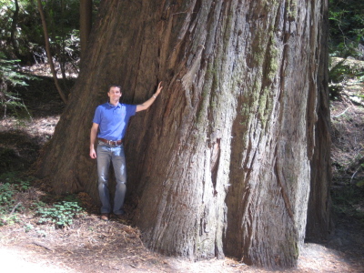 Sean in the Avenue of Giants September 2007