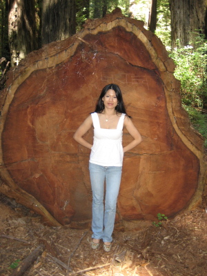 Binh in the Avenue of Giants September 2007