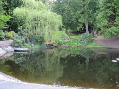 Shot over the pond at Delille